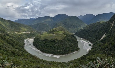 Image 426524802