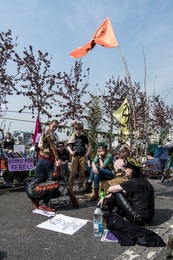 Image 426587348