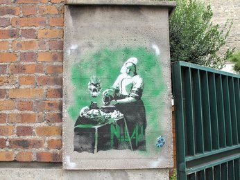 Image 427177678