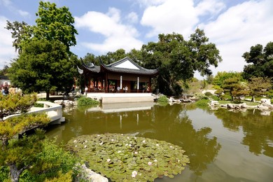 Image 427505014