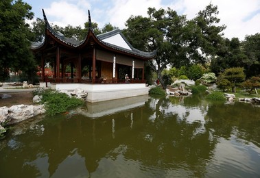 Image 427505030
