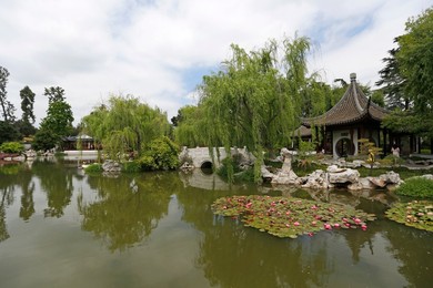 Image 427505082