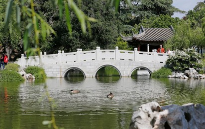 Image 427505089