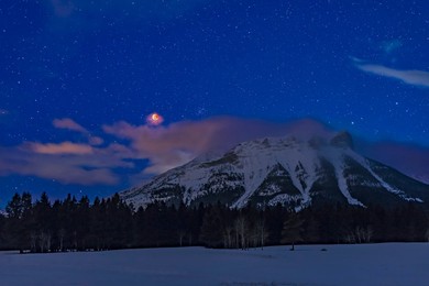 Image 427509330