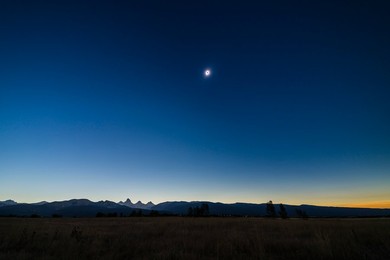 Image 427509655