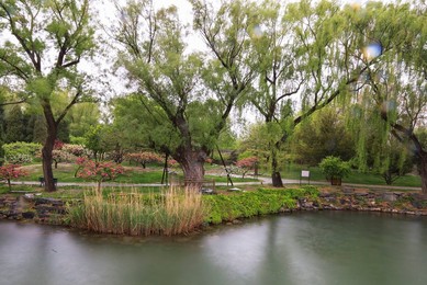 Image 429165522
