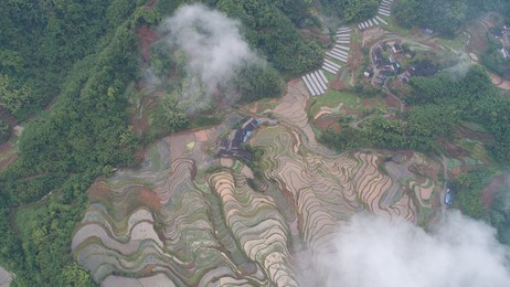 Image 429822566