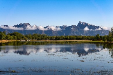 Image 430122034