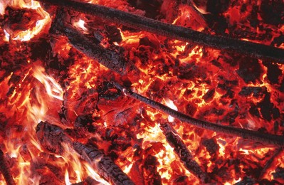 Logs in a fire