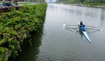Image 431706869