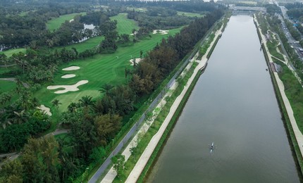 Image 431706900
