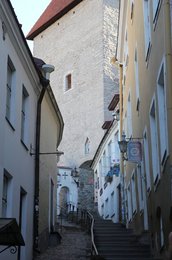 Image 432065839
