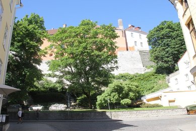 Image 432065866