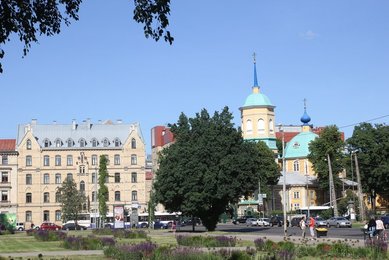 Image 432065954