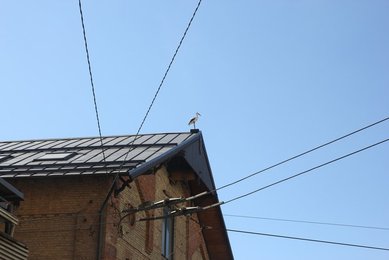 Image 432065959
