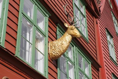 Image 432075876