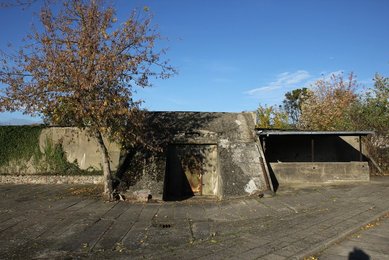 Image 432076069