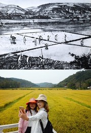 Image 432139749
