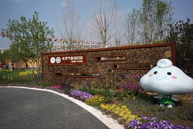 Image 432521438