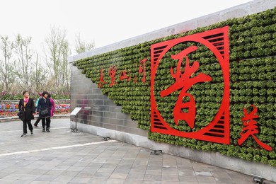 Image 432709907