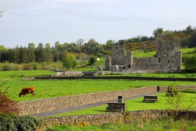 Image 432901101