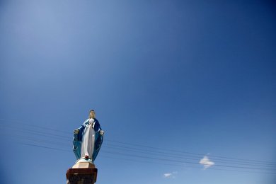 Image 433536484