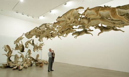 Image 433735381