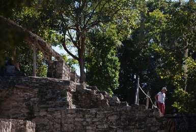 Image 433819919