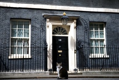 Image 433835142