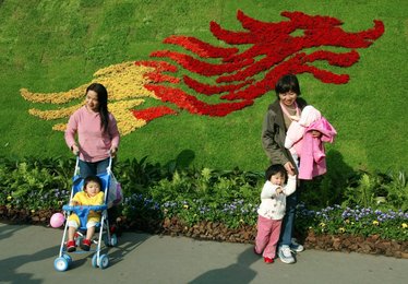 Image 433945387