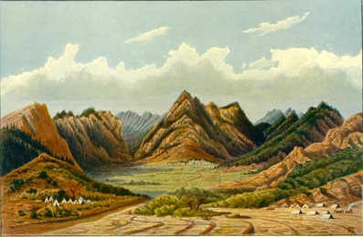 Image 433961498