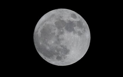 Image 434162998