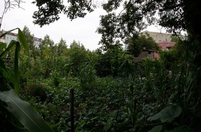 Image 434287255