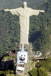 Image 434499520
