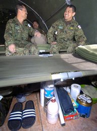 Image 434757491
