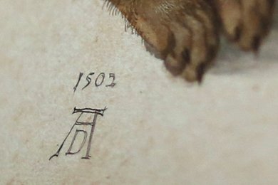 Image 434982635