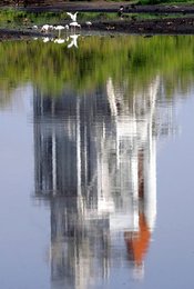 Image 435198823