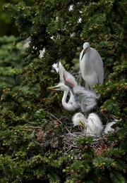 Image 435318967