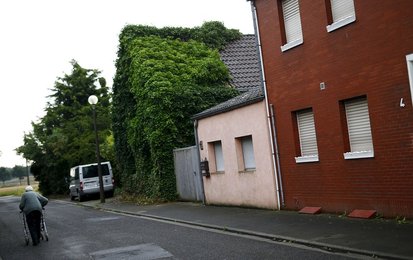 Image 435483666
