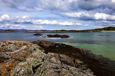 Image 435760622