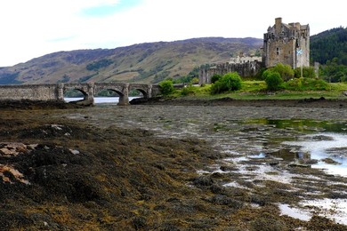Image 435762801