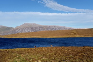 Image 435763446