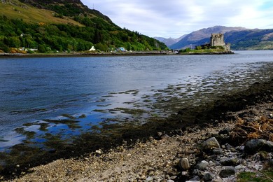 Image 435763493