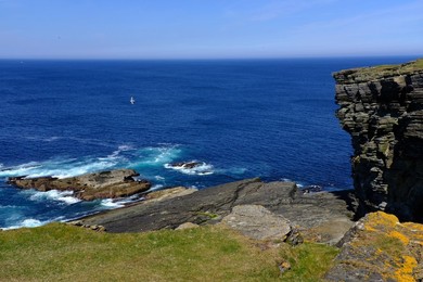 Image 435767829