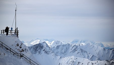 Image 435812337
