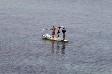 Image 435951550