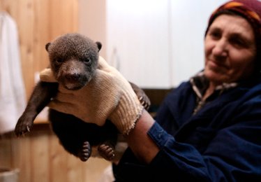 Image 435988878