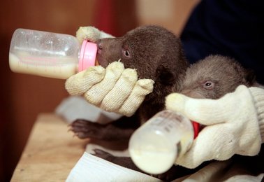 Image 435988918