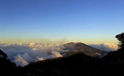 Image 436160495