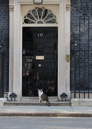 Image 436280869
